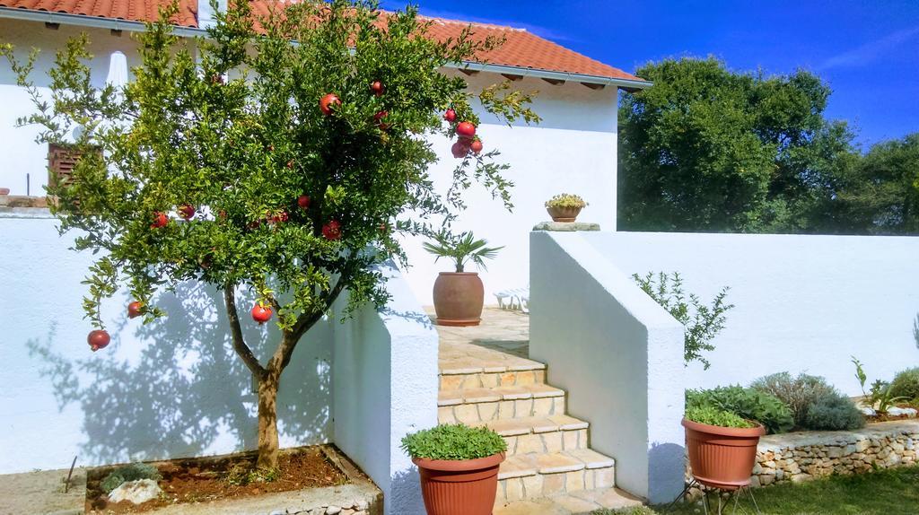 Вилла House Soni - 800 M From The Sea Ровинь Экстерьер фото